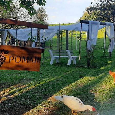 Casa Na Arvore Com Hidro, Piscina, Trilha, Cavalo Bento Goncalves Ngoại thất bức ảnh