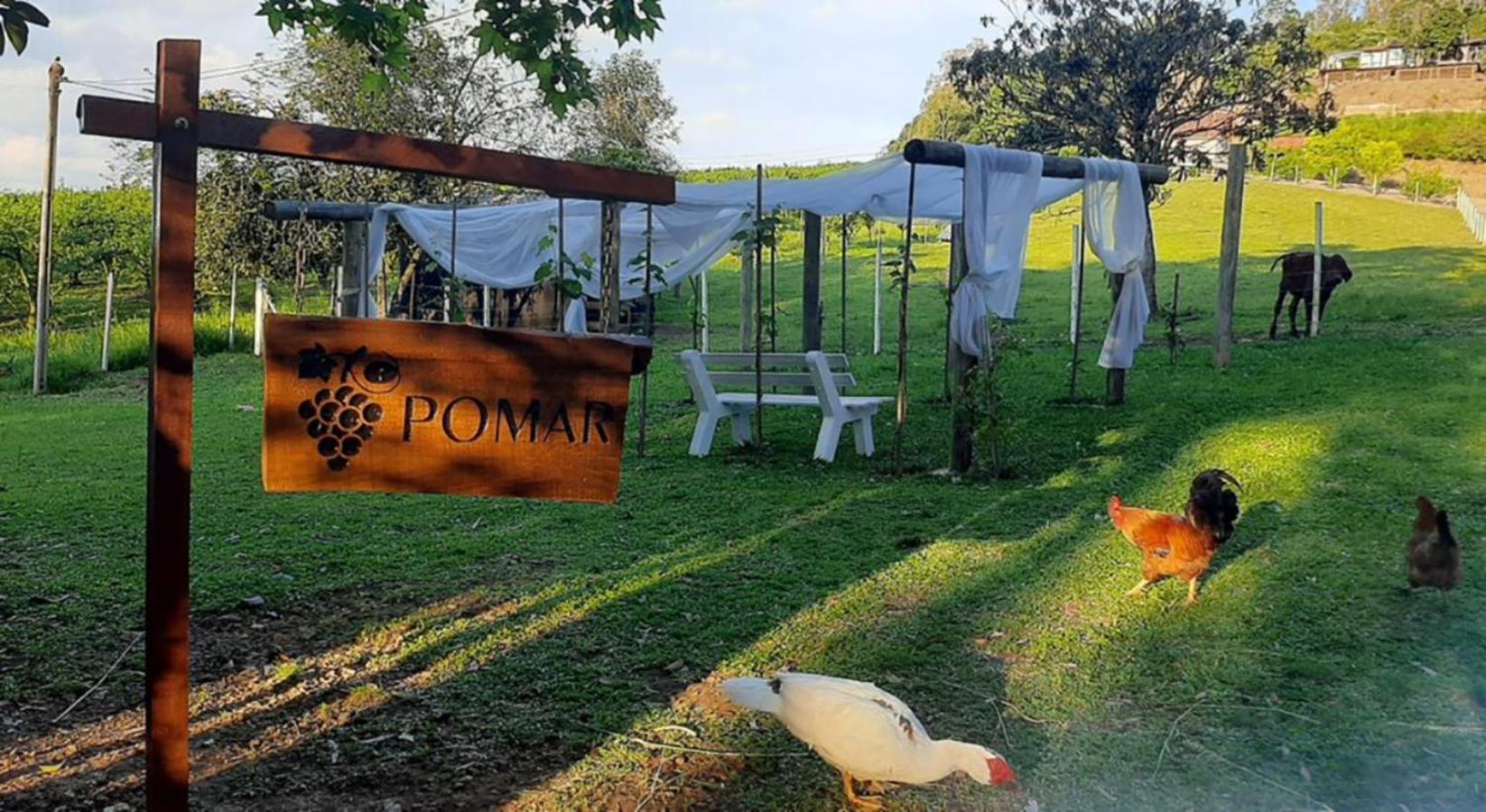 Casa Na Arvore Com Hidro, Piscina, Trilha, Cavalo Bento Goncalves Ngoại thất bức ảnh